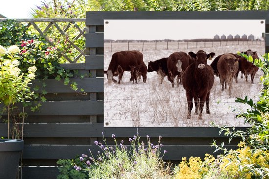 Affiche de jardin Troupeau de vaches dans un champ de neige 120x80 cm - Toile de jardin / Toile d'extérieur / Peintures d'extérieur (décoration de jardin)