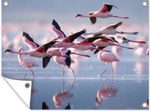 Tuinschilderij Flamingo - Vogel - Water - Roze - 80x60 cm - Tuinposter - Tuindoek - Buitenposter