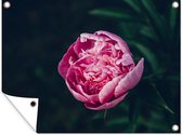Tuinschilderij Bloemen - Roze - Rozen - 80x60 cm - Tuinposter - Tuindoek - Buitenposter