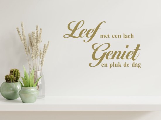 Stickerheld - Muursticker Leef met een lach geniet en pluk de dag