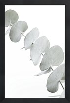 JUNIQE - Poster in houten lijst Eucalyptus White 3 -30x45 /Groen & Wit