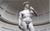 David, Michelangelo's meesterwerk in Florence - Foto op Forex - 45 x 30 cm