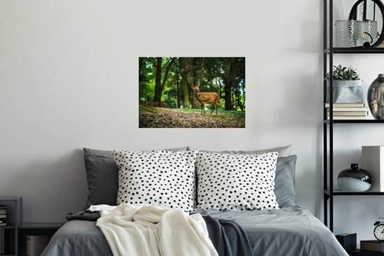 Sticker Muursticker Animaux Libres - Cerf au premier plan - 60x40 cm - film adhésif autocollant - sticker mural repositionnable