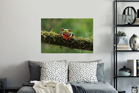 Stickers Stickers muraux - Grenouille aux yeux rouges sur une branche couverte - 90x60 cm - Film adhésif