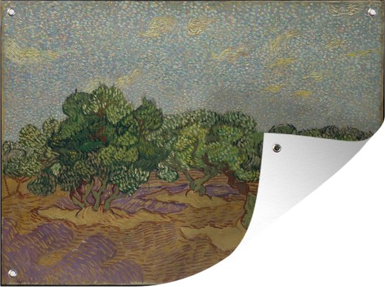 Tuinschilderij Olijfbomen - Vincent van Gogh - 80x60 cm - Tuinposter - Tuindoek - Buitenposter