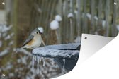 Tuinposter - Tuindoek - Tuinposters buiten - Vogelbad - Winter - Mees - 120x80 cm - Tuin