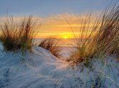 Fotobehang zonsondergang in de duinen van Ameland 350 x 260 cm - € 235,--