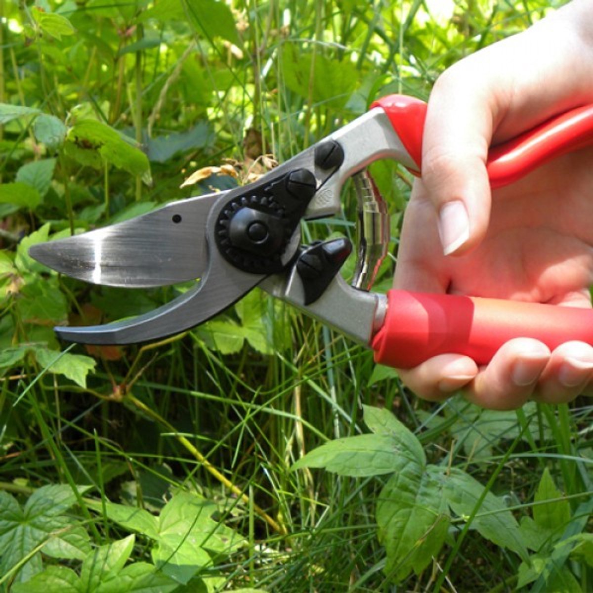 Felco 7 sécateur à poignée rotative Max Ø20mm