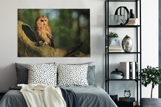 Rayons de soleil sur une toile hibou fauve marron 140x90 cm - Tirage photo sur toile (Décoration murale salon / chambre)