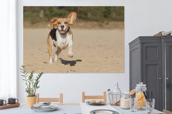 Peintures sur toile - Beagle marche dans le sable - 150x100 cm - Décoration murale