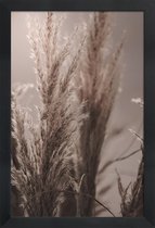 JUNIQE - Poster in houten lijst Pampas Reed 06 -40x60 /Bruin