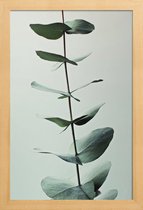 JUNIQE - Poster met houten lijst Eucalyptus Green -13x18 /Groen & Wit