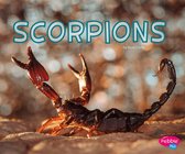 Meet Desert Animals - Scorpions