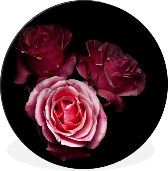 Wandcirkel - Aluminium - Een foto van roze rozen met een zwarte achtergrond - ⌀