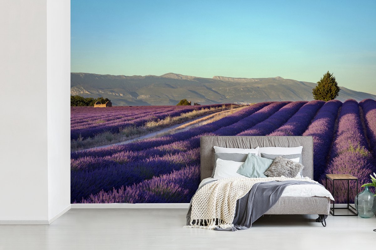 Behang - Fotobehang Lavendel veld in Provence - Breedte 600 cm x hoogte 400 cm