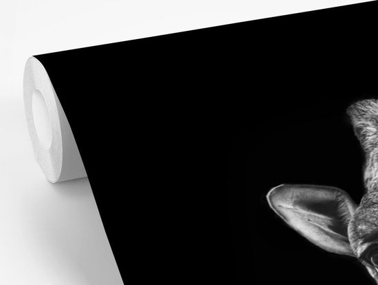 Papier peint - Papier peint Papier peint photo Girafe - Animal - Zwart - Wit - Largeur 390 cm x hauteur 260 cm