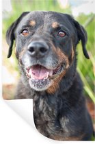 Onlayn porno tomosha qilish uchun ular menga uyqu tabletkalarini berishdi