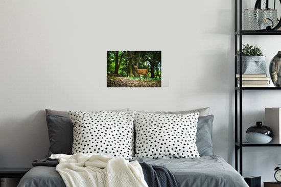 Stickers muraux - Film autocollant - Cerf - Forêt - Animal - 30x20 cm - Film adhésif - Stickers muraux Chambre d'enfant - Papier peint autocollant