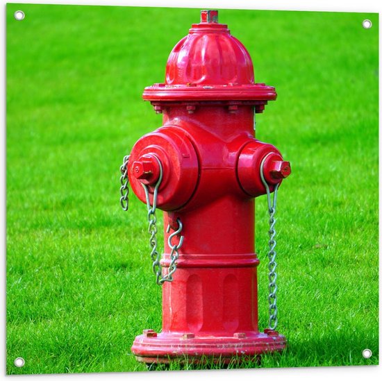 Tuinposter – Rode Brandweerpaal in Groen Grasveld - 80x80cm Foto op Tuinposter  (wanddecoratie voor buiten en binnen)