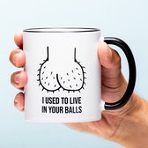 Nutcrackers I Used To Live In Your Balls Mok