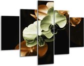 Peinture sur verre d'orchidée | Vert, marron, noir | 100x70cm 5Liège | Tirage photo sur verre |  F002724