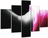Glasschilderij -  Lichaam - Zwart, Wit, Roze - 100x70cm 5Luik - Geen Acrylglas Schilderij - GroepArt 6000+ Glasschilderijen Collectie - Wanddecoratie- Foto Op Glas