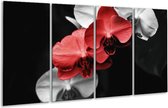 GroepArt - Glasschilderij - Orchidee - Rood, Zwart, Grijs - 160x80cm 4Luik - Foto Op Glas - Geen Acrylglas Schilderij - 6000+ Glasschilderijen Collectie - Wanddecoratie