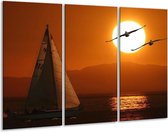 Glasschilderij Natuur - Oranje, Geel, Zwart - 120x80cm 3Luik - Foto Op Glas - Geen Acrylglas Schilderij - GroepArt 6000+ Glas Art Collectie - Maatwerk Mogelijk