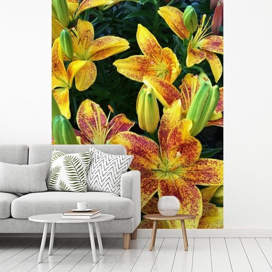 Behang - Fotobehang Grote Alstroemeria bloemen - Breedte 220 cm x hoogte  300 cm | bol.com