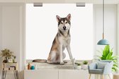 Papier peint - Papier peint photo Loup - Animaux - Bois - Largeur 220 cm x hauteur 220 cm