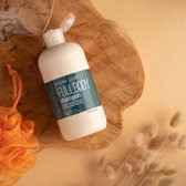 Aruba Aloë Full Body Shampoo 65 ml | Dry FLWRS