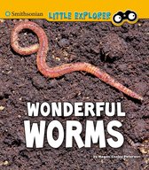 Little Entomologist 4D - Wonderful Worms