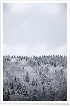 JUNIQE - Poster White Winter Forest -40x60 /Grijs & Wit