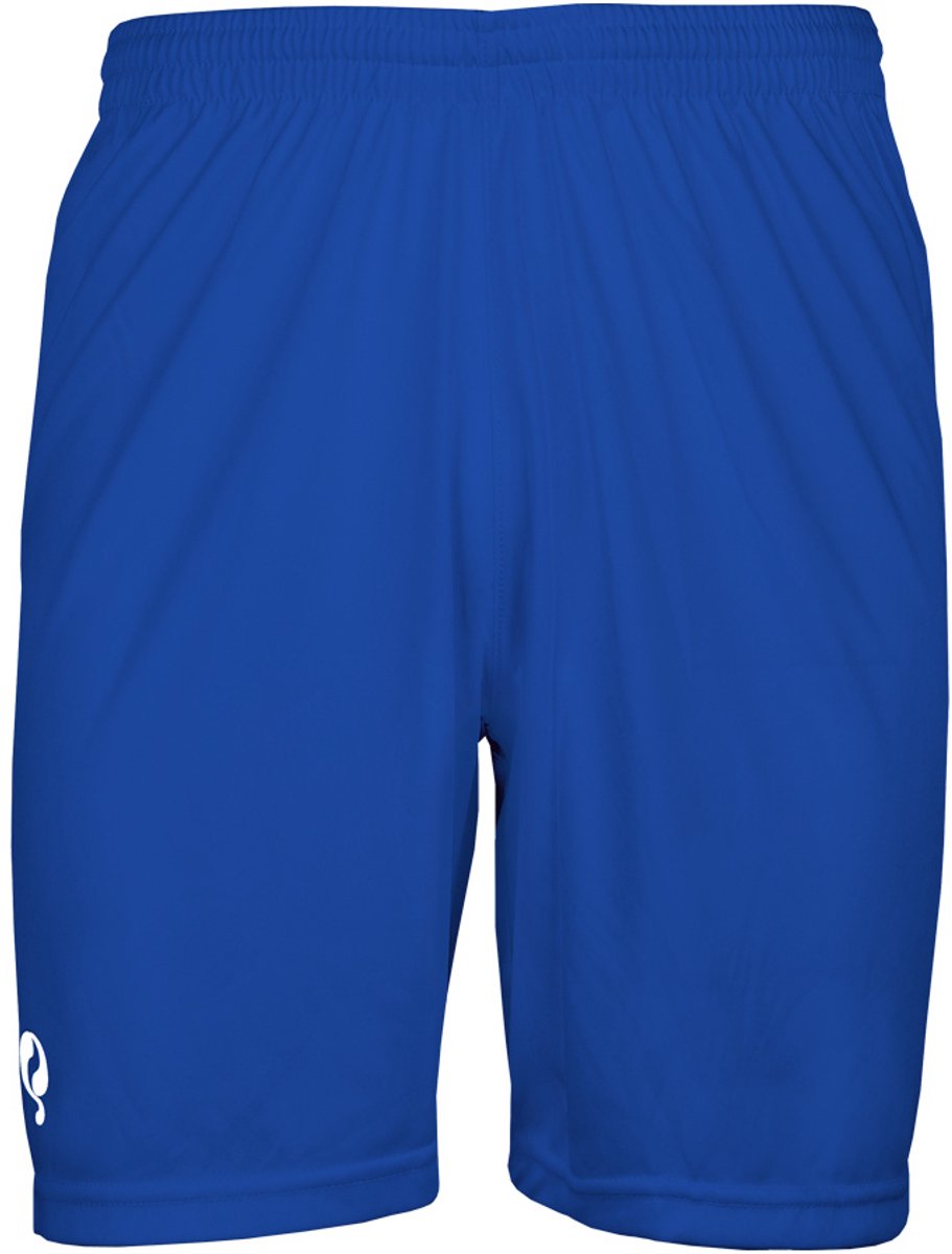 Heren Evergreen active short - Blauw/Wit