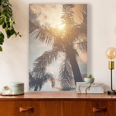 Aluminium Schilderij Palm