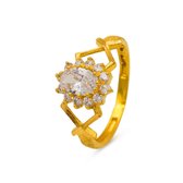 Dames ring Kritika