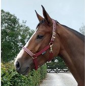 Bucas Halster  Dublin Ruby Jubilee - Donkerrood - pony