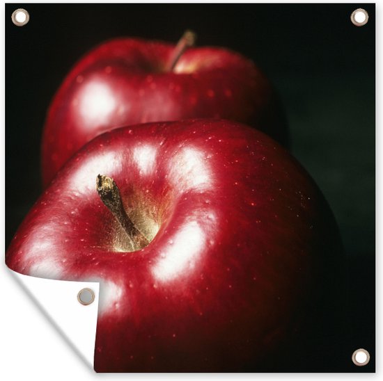 Tuin decoratie Appel - Rood - Fruit - 40x30 cm - Tuindoek - Buitenposter