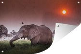 Tuindecoratie Grazende olifant - 60x40 cm - Tuinposter - Tuindoek - Buitenposter
