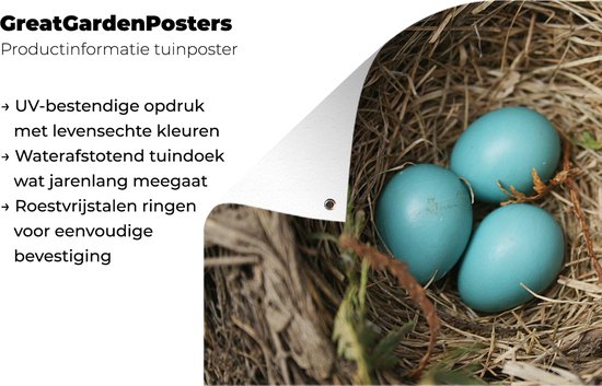 Décoration de jardin Oeufs - Blauw - Rouge-gorge - 60x40 cm - Affiche de jardin - Toile de jardin