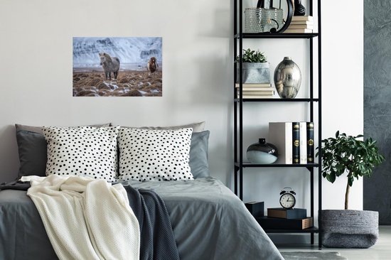 Affiche Islande - Paarden - Neige - 30x20 cm