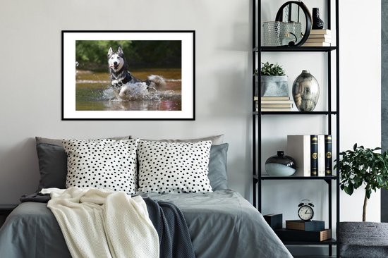 Photo encadrée - Cadre photo Husky dans l'eau noir avec passe-partout blanc 60x90 90x60 cm - Affiche encadrée (Décoration murale salon / chambre)