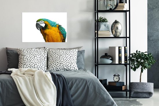 Poster Perroquet devant fond blanc papier 90x60 cm - Tirage photo sur Poster (décoration murale salon / chambre) / Poster Animaux sauvages