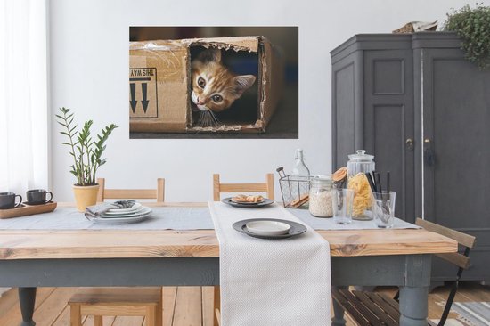 Chaton assis dans une boîte en carton 120x80 cm