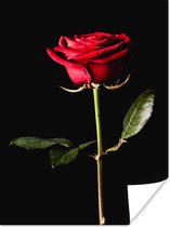 Affiche Une rose rouge sur fond noir 120x160 cm - Tirage photo sur Poster (décoration murale salon / chambre) XXL / Groot format!