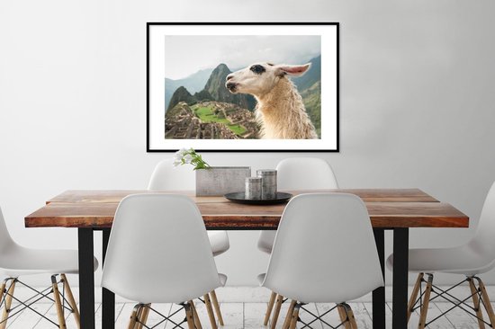 Photo dans le cadre - Lama Witte avec des taches noires Cadre photo noir avec passe partout blanc 60x90 90x60 cm - Affiche dans le cadre (Décoration murale salon / chambre)