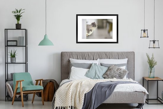 Chaton regarde le cadre photo de l'appareil photo noir avec tapis blanc 60x90