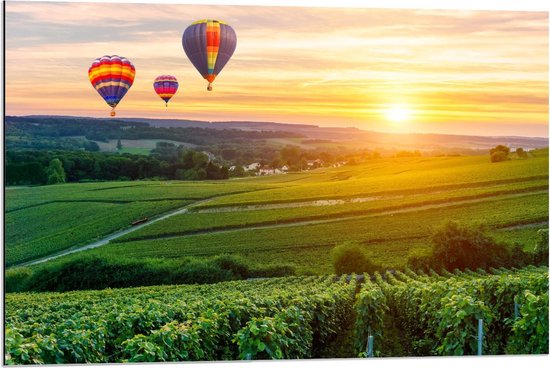 Dibond - Regenboogkleurige Luchtballonnen boven Landschap - 90x60cm Foto op Aluminium (Wanddecoratie van metaal)