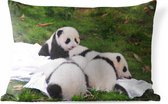 Buitenkussens - Tuin - Pasgeboren panda's liggen bij elkaar - 50x30 cm