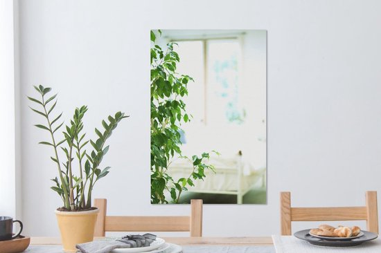 Toile végétale 2cm dans la maison